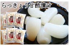 ふぞろいらっきょう甘酢漬け 190gｘ6袋【低温熟成 無添加】