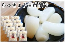 ふぞろいらっきょう甘酢漬け 190gｘ10袋 【低温熟成 無添加】