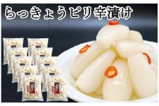 ふぞろいらっきょうピリ辛漬け 190gｘ10袋【低温熟成 無添加】