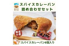 ザクッもち！国産小麦のスパイスカレーパン4種×2個ずつ食べ比べセット