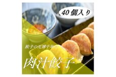 餃子の元博千年の肉汁餃子４０個入り