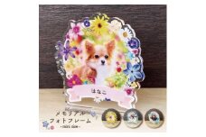 【メモリアルフォトフレーム～フラワー～ 全4種/ミニサイズ　【お花畑】
