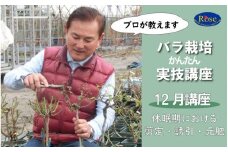 プロが教えるバラ栽培実技講座【12月：剪定・誘引・元肥】