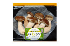 上品で深みのある味わいの「松きのこセット」【1466309】