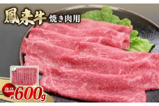 逸品鳳来牛(焼き肉用) ふるさと納税限定品　約600g【1209521】