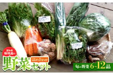 新城産の野菜詰め合わせセット【1240827】