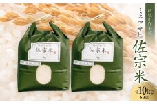 愛知県:新城市作手産＜佐宗米ミネアサヒ＞10kg (5kg×2袋)【1556382】