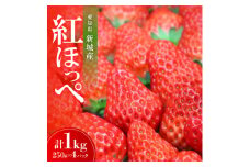 愛知県新城産　紅ほっぺ　おまかせ4パック【1548641】