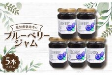 ブルーベリージャム160g(5本)【1274739】
