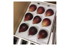 愛知県 東海市産 いちじく 1箱 約1kg(9～12玉入り)【1649322】