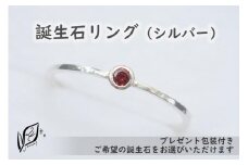 【プレゼント包装付き】誕生石リング（シルバー）