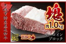 【期間・数量限定】大府市特産　A5黒毛和牛特選サーロイン塊肉　1.0kg