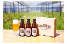 巨峰を使ったすっきりな味わいのクラフトビールOBUBEER 【巨峰】 3本セット