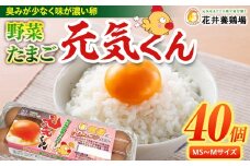 愛され続けて30年 「野菜たまご 元気くん」（40個） 日々のお料理がワンランクアップ!!