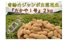 ＜10月より発送＞【朝採り】新・奇跡のジャンボ生落花生「たかや１号」約２kg