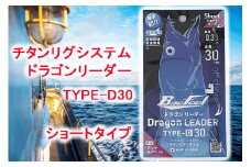 チタンリグシステム ドラゴンリーダー　TYPE-D30【ショートタイプ】＜吉見製作所＞