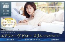 【大府市産新米5合付き】エアウィーヴ ピロー スリム みな実のまくら ( 田中みな実 枕 まくら エアウィーヴ ピロー 人気 おすすめ みな実のまくら 寝具 エアウィーヴ 愛知県 大府市 マクラ ピロースリム エアウィーヴ エアウィーブ )