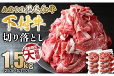 【数量限定・大増量】大府市特産黒毛和牛「下村牛」切り落とし 1.5kg（250g×6パック）