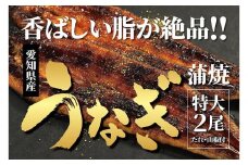 ＜着日指定必須＞【特大・国産うなぎ・蒲焼２尾】養鰻場を知るこだわり大将の絶品うなぎ | 蒲焼き 愛知 鰻 うなぎ タレ 山椒