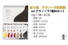 【定期便・全６回】毎月届く soi 定番グラノーラ７種BOX(２セット)
