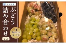【先行予約】【数量限定】 ぶどう 詰め合わせセット 約2kg 〔2025年8月中旬より順次発送〕