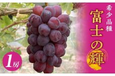 ＜先行予約＞富士の輝　1房 ★数量限定★2025年8月上旬頃から順次発送★