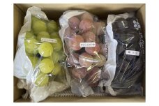 おすすめぶどう三房セット　約2kg（巨峰、シャインマスカット、クイーンニーナ）