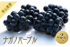 【先行予約】【数量限定】ナガノパープル 約2kg 〔2025年8月下旬より順次発送〕
