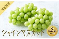 【先行予約】【数量限定】 シャインマスカット 約2kg 〔2025年8月下旬より順次発送〕