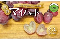 ハート型の粒を実らせるレア品種！良味・大房！　完熟マイハート　2～3房（1.3kg相当）