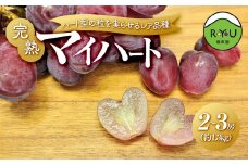 ハート型の粒を実らせるレア品種！良味・大房！　完熟マイハート　2～3房（1.3kg相当）