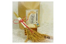 栽培期間中農薬化学肥料不使用 おおぶニック学校給食米 精米5ｋｇ
