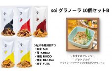 soi グラノーラ １０個 Bセット (素意・苺・林檎・甘蕉・柚子 / ５０ｇ 各種２個 )