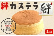絆カステラ　1箱