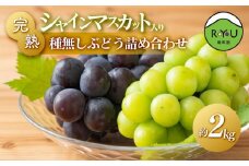 完熟シャインマスカット入り種無しぶどう詰め合わせ 2kg