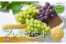 皮ごと食べられる！種無しぶどう詰め合わせプレミアムセット(完熟シャインマスカット・雄宝・マイハート) 2kg