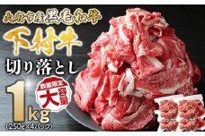 【数量限定・増量中】大府市特産黒毛和牛「下村牛」切り落とし　1.0kg（250g×4パック）