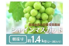 【先行予約2026年8月頃発送】大府市産　シャインマスカット1.4kg(2～3房入）
