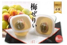 知多銘菓　梅ぜりぃ　6ヶ入 ／ 和風ゼリー うめ ウメ 土産 愛知県 特産品