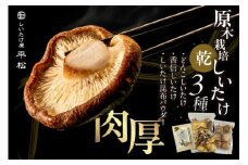 愛知県知多市産原木乾椎茸 ／ しいたけ シイタケ どんこ 肉厚 希少 愛知県 特産品