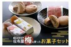 知多市天然記念物「佐布里梅」を使ったお菓子セット ／ 和菓子 焼菓子 スイーツ ようかん 地域ブランド そうりうめ 天然記念物 愛知県 特産品