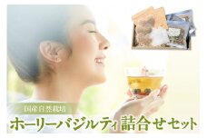 国産自然栽培ホーリーバジルティ詰合せセット ／ ハーブティー お茶 ナチュラル 愛知県