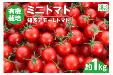 有機栽培ミニトマト　知多アモーレトマト　約1kg／ とまと 野菜 高糖度 愛知県 特産品