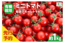 ★先行予約★　有機栽培ミニトマト　知多アモーレトマト　約1kg／ とまと 野菜 高糖度 愛知県 特産品