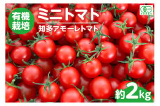 有機栽培ミニトマト　知多アモーレトマト　約2kg／ とまと 野菜 高糖度 愛知県 特産品