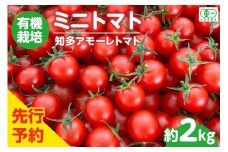 ★先行予約★　有機栽培ミニトマト　知多アモーレトマト　約2kg／ とまと 野菜 高糖度 愛知県 特産品