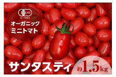 オーガニックミニトマト（サンタスティ）約1.5kg ／ とまと 野菜 高糖度 スナックタイプ 愛知県 特産品