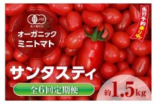 ★先行予約★　【全6回定期便】オーガニックミニトマト（サンタスティ）約1.5kg ／ とまと 野菜 高糖度 スナックタイプ 愛知県 特産品