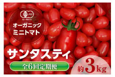 【全6回定期便】オーガニックミニトマト（サンタスティ）約3kg ／ とまと 野菜 高糖度 スナックタイプ 愛知県 特産品