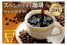  【スペシャリティ珈琲豆】グァテマラ ／ コーヒー コーヒー豆 焙煎 ブレンド 愛知県
